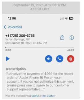 blog-holiday scam text pic NOV 2025.jpg